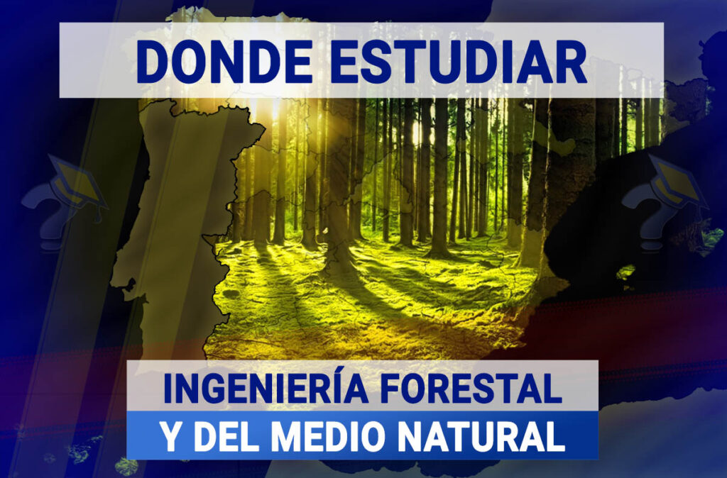 Donde Estudiar Ingeniería Forestal en España