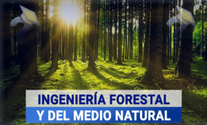 Doble Grado en Ingeniería Forestal + Ingeniería Agroalimentaria y del Medio Rural