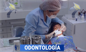 Grado en Odontología